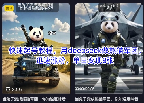 快速起号教程，用deepseek做熊猫军团，迅速涨粉，单日变现8张网赚项目-副业赚钱-互联网创业-资源整合-私域引流-黑科技软件-引流软件哲客网创