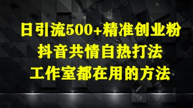 日引流500+精准创业粉，抖音共情自热打法，工作室都在用的方法网赚项目-副业赚钱-互联网创业-资源整合-私域引流-黑科技软件-引流软件哲客网创