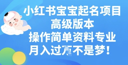 小红书宝宝起名项目高级版本，操作简单，资料专业，月入过W网赚项目-副业赚钱-互联网创业-资源整合-私域引流-黑科技软件-引流软件哲客网创