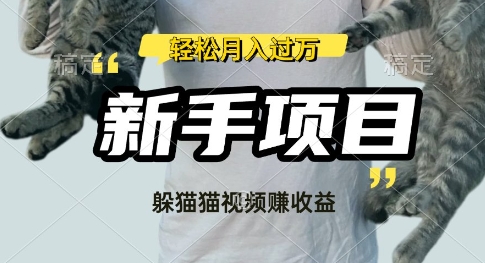 利用老外躲猫猫大赛视频，挣分成收益，操作简单，新手小白，轻松月入过W网赚项目-副业赚钱-互联网创业-资源整合-私域引流-黑科技软件-引流软件哲客网创