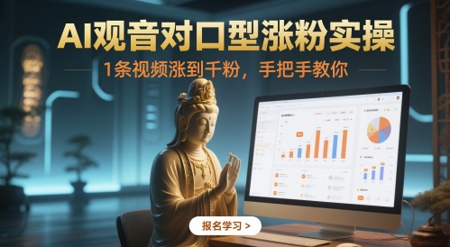 AI观音对口型涨粉实操，1条视频涨到千粉，手把手教你网赚项目-副业赚钱-互联网创业-资源整合-私域引流-黑科技软件-引流软件哲客网创
