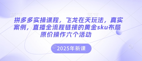 拼多多实操课程，飞龙在天玩法，真实案例，直播全流程链接的黄金sku布局原价操作六个活动网赚项目-副业赚钱-互联网创业-资源整合-私域引流-黑科技软件-引流软件哲客网创
