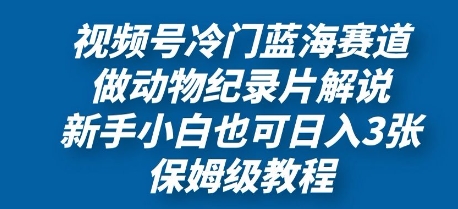 视频号冷门蓝海赛道，做动物纪录片解说，新手小白也日入3张，保姆级教程网赚项目-副业赚钱-互联网创业-资源整合-私域引流-黑科技软件-引流软件哲客网创