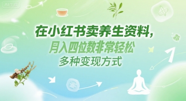 在小红书卖养生资料，月入四位数非常轻松，多种变现方式网赚项目-副业赚钱-互联网创业-资源整合-私域引流-黑科技软件-引流软件哲客网创
