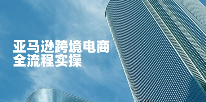 （14252期）亚马逊跨境电商全流程实操，教你从零开始，掌握店铺运营与广告技巧网赚项目-副业赚钱-互联网创业-资源整合-私域引流-黑科技软件-引流软件哲客网创