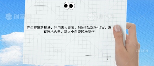 AI养生赛道新玩法，10条作品涨粉5.2W，操作简单，新人小白能轻松制作网赚项目-副业赚钱-互联网创业-资源整合-私域引流-黑科技软件-引流软件哲客网创
