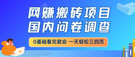 网创搬砖项目，国内问卷调查，小白轻松上手，一天三四张的也不难，干就完了【揭秘】网赚项目-副业赚钱-互联网创业-资源整合-私域引流-黑科技软件-引流软件哲客网创