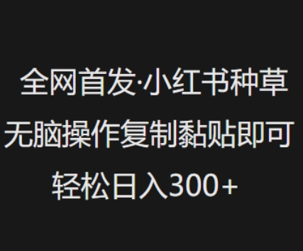 全网首发，小红书种草无脑操作，复制黏贴即可，轻松日入3张网赚项目-副业赚钱-互联网创业-资源整合-私域引流-黑科技软件-引流软件哲客网创