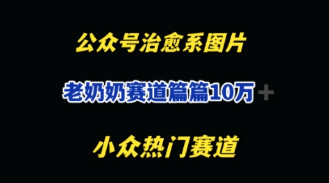 公众号老奶奶治愈系流量主，篇篇10W+网赚项目-副业赚钱-互联网创业-资源整合-私域引流-黑科技软件-引流软件哲客网创