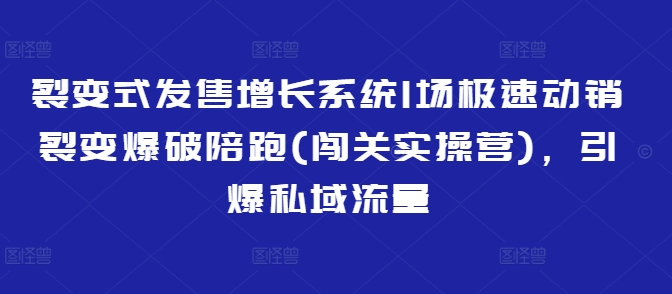 裂变式发售增长系统1场极速动销裂变爆破陪跑(闯关实操营)，引爆私域流量网赚项目-副业赚钱-互联网创业-资源整合-私域引流-黑科技软件-引流软件哲客网创