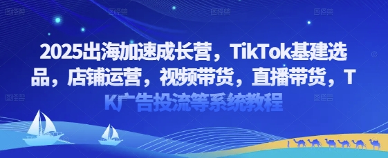 2025出海加速成长营，TikTok基建选品，店铺运营，视频带货，直播带货，TK广告投流等系统教程网赚项目-副业赚钱-互联网创业-资源整合-私域引流-黑科技软件-引流软件哲客网创