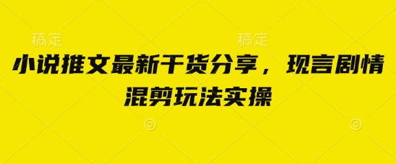 小说推文最新干货分享，现言剧情混剪玩法实操网赚项目-副业赚钱-互联网创业-资源整合-私域引流-黑科技软件-引流软件哲客网创