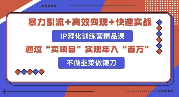 知识付费独家玩法：精准引流+高效变现，简单复制成功模式，最新IP共创导师训练营玩法网赚项目-副业赚钱-互联网创业-资源整合-私域引流-黑科技软件-引流软件哲客网创