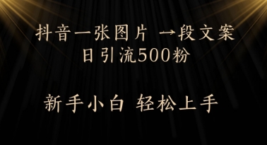 每天2分钟，抖音一张图片 一段文案日引流500粉网赚项目-副业赚钱-互联网创业-资源整合-私域引流-黑科技软件-引流软件哲客网创