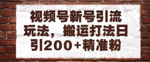 视频号新号引流玩法，搬运打法日引200+精准粉，可矩阵放大【揭秘】网赚项目-副业赚钱-互联网创业-资源整合-私域引流-黑科技软件-引流软件哲客网创
