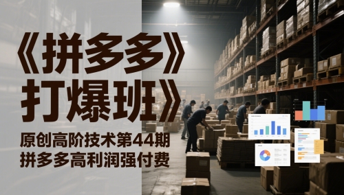 《拼多多打爆班》原创高阶技术第44期，拼多多高利润强付费网赚项目-副业赚钱-互联网创业-资源整合-私域引流-黑科技软件-引流软件哲客网创