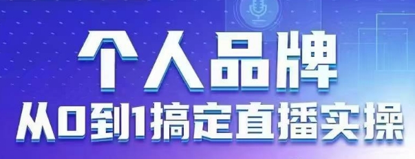 个人品牌：从0到1搞定直播实操，用直播为你的个人品牌赋能，六大实操板块，放大个人影响力网赚项目-副业赚钱-互联网创业-资源整合-私域引流-黑科技软件-引流软件哲客网创