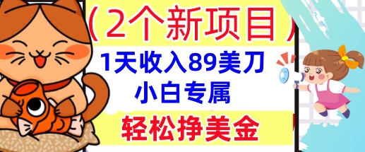 2个新项目，轻松挣美金， 1天收入89美刀，小白专属，干货分享网赚项目-副业赚钱-互联网创业-资源整合-私域引流-黑科技软件-引流软件哲客网创