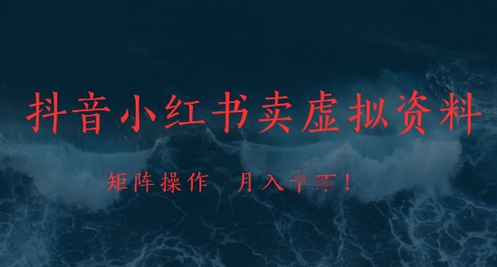 抖音小红书卖虚拟资料，市场需求一直存在，矩阵操作，月入1w+网赚项目-副业赚钱-互联网创业-资源整合-私域引流-黑科技软件-引流软件哲客网创