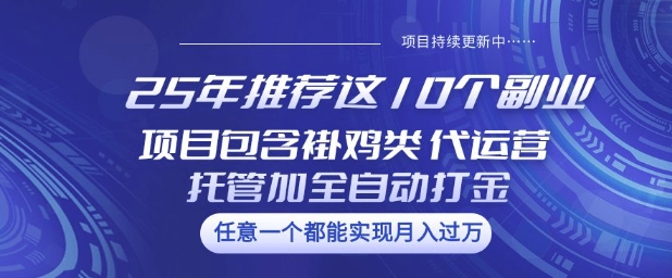 25年推荐这10个副业项目包含褂鸡类、代运营托管类、全自动打金类【揭秘】网赚项目-副业赚钱-互联网创业-资源整合-私域引流-黑科技软件-引流软件哲客网创