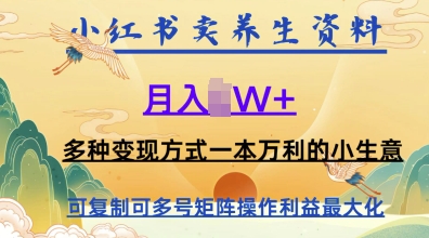 在小红书上卖养生资料，月入1w+，多种变现方式一本万利的小生意网赚项目-副业赚钱-互联网创业-资源整合-私域引流-黑科技软件-引流软件哲客网创