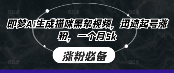 即梦AI生成猫咪黑帮视频，迅速起号涨粉，一个月5k网赚项目-副业赚钱-互联网创业-资源整合-私域引流-黑科技软件-引流软件哲客网创