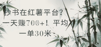 抄书在小红薯平台？平均一单30米，一天收益几张！网赚项目-副业赚钱-互联网创业-资源整合-私域引流-黑科技软件-引流软件哲客网创