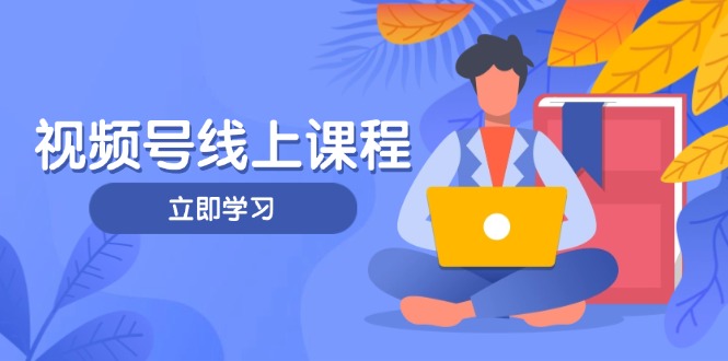 （14360期）视频号实战课程，轻IP打造与运营技巧，掌握核心方法与策略网赚项目-副业赚钱-互联网创业-资源整合-私域引流-黑科技软件-引流软件哲客网创