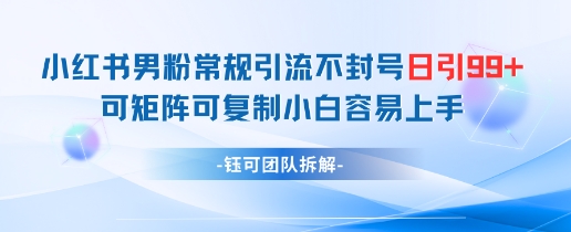 小红书男粉常规引流不封号日引99+变现简单 可矩阵可复制小白容易上手网赚项目-副业赚钱-互联网创业-资源整合-私域引流-黑科技软件-引流软件哲客网创