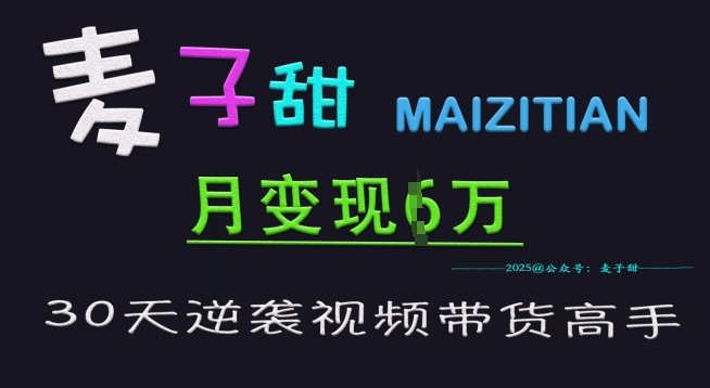 麦子甜30天逆袭视频带货高手，单月变现6W加特训营网赚项目-副业赚钱-互联网创业-资源整合-私域引流-黑科技软件-引流软件哲客网创