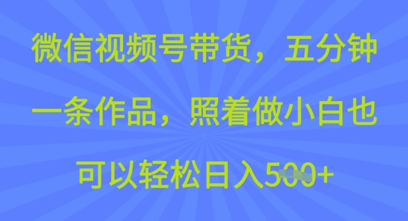 微信视频号带货，五分钟一条作品，照着做小白也可以轻松日入5张网赚项目-副业赚钱-互联网创业-资源整合-私域引流-黑科技软件-引流软件哲客网创