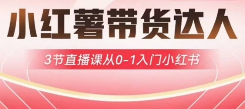 小红薯达人带货启航计划，3节直播课从0-1入门小红书网赚项目-副业赚钱-互联网创业-资源整合-私域引流-黑科技软件-引流软件哲客网创