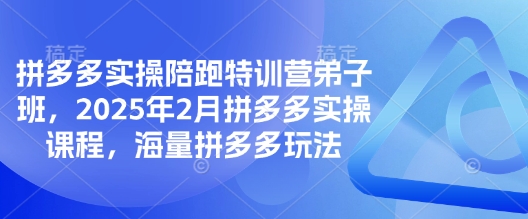 拼多多实操陪跑特训营弟子班，2025年2月拼多多实操课程，海量拼多多玩法网赚项目-副业赚钱-互联网创业-资源整合-私域引流-黑科技软件-引流软件哲客网创