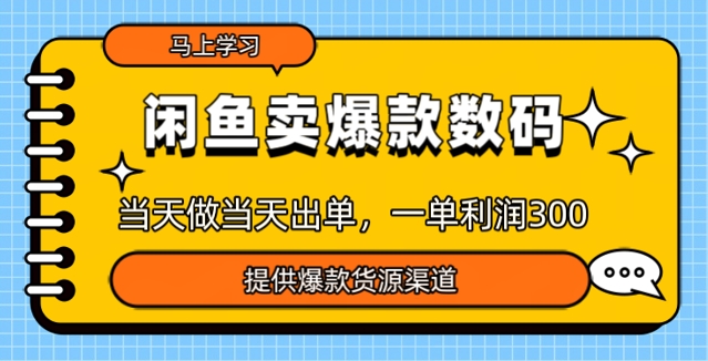 闲鱼卖爆款货源，当天做当天出单，一单利润3张网赚项目-副业赚钱-互联网创业-资源整合-私域引流-黑科技软件-引流软件哲客网创