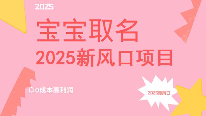 （14593期）2025新风口项目宝宝取名，0成本高利润，附保姆级教程，月入过万不是梦网赚项目-副业赚钱-互联网创业-资源整合-私域引流-黑科技软件-引流软件哲客网创