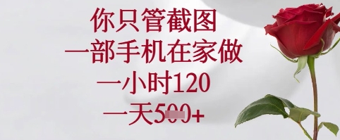 你只管截图，一部手机在家可以做，一小时120.一天5张+【揭秘】网赚项目-副业赚钱-互联网创业-资源整合-私域引流-黑科技软件-引流软件哲客网创