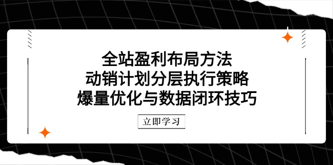 （14698期）全站盈利布局方法：动销计划分层执行策略，爆量优化与数据闭环技巧网赚项目-副业赚钱-互联网创业-资源整合-私域引流-黑科技软件-引流软件哲客网创