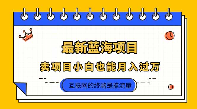 （14289期）2025年最新蓝海项目，卖项目小白也能月入过万网赚项目-副业赚钱-互联网创业-资源整合-私域引流-黑科技软件-引流软件哲客网创