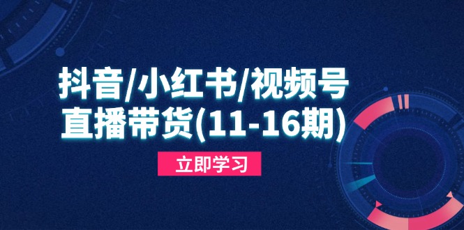 （14611期）抖音/小红书/视频号/直播带货(11-16期)，快速掌握平台规则，打造爆款内容网赚项目-副业赚钱-互联网创业-资源整合-私域引流-黑科技软件-引流软件哲客网创
