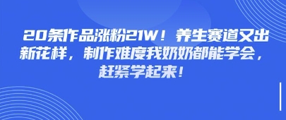 20条作品涨粉21W！养生赛道又出新花样，制作难度我奶奶都能学会，赶紧学起来网赚项目-副业赚钱-互联网创业-资源整合-私域引流-黑科技软件-引流软件哲客网创