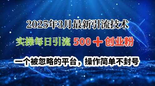 2025年3月最新引流技术，实操每日引流500+创业粉，一个被忽略的平台，操作简单不封号网赚项目-副业赚钱-互联网创业-资源整合-私域引流-黑科技软件-引流软件哲客网创