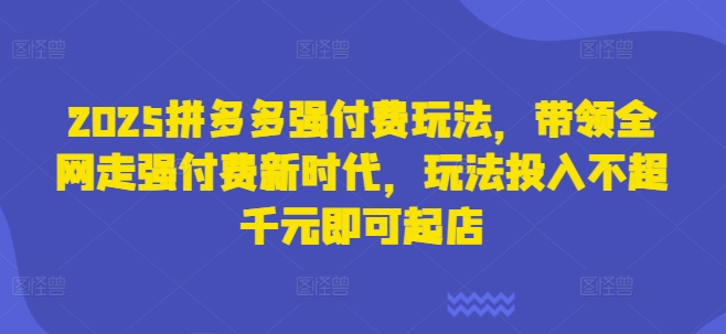 2025拼多多强付费玩法，带领全网走强付费新时代，玩法投入不超千元即可起店网赚项目-副业赚钱-互联网创业-资源整合-私域引流-黑科技软件-引流软件哲客网创