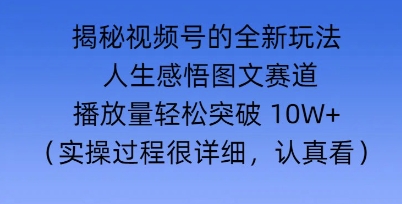 Deepseek和即梦结合，做一个【人生图文感悟】的视频号网赚项目-副业赚钱-互联网创业-资源整合-私域引流-黑科技软件-引流软件哲客网创