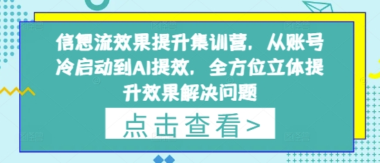 信息流效果提升集训营，从账号冷启动到AI提效，全方位立体提升效果解决问题网赚项目-副业赚钱-互联网创业-资源整合-私域引流-黑科技软件-引流软件哲客网创