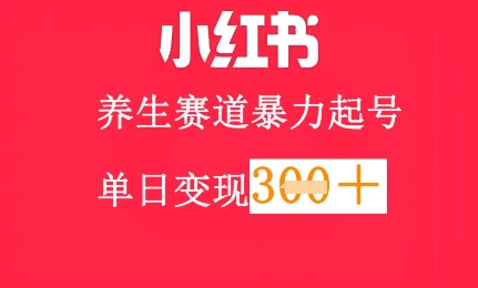 小红书养生赛道，暴力起号，轻松日入3张+网赚项目-副业赚钱-互联网创业-资源整合-私域引流-黑科技软件-引流软件哲客网创