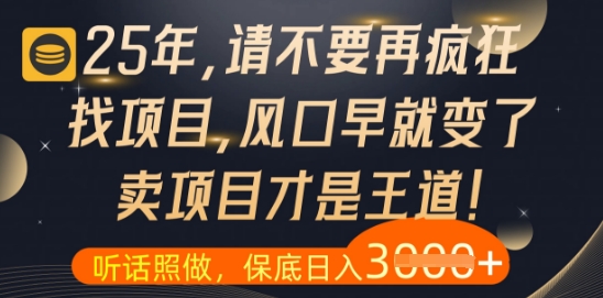 什么？25年你还在疯狂找项目做，醒醒吧，看完这些你全都懂了【揭秘】网赚项目-副业赚钱-互联网创业-资源整合-私域引流-黑科技软件-引流软件哲客网创