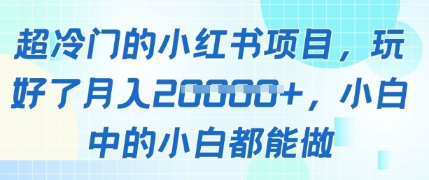 超冷门的小红书项目，玩好了月入过1w，小白中的小白都能做网赚项目-副业赚钱-互联网创业-资源整合-私域引流-黑科技软件-引流软件哲客网创