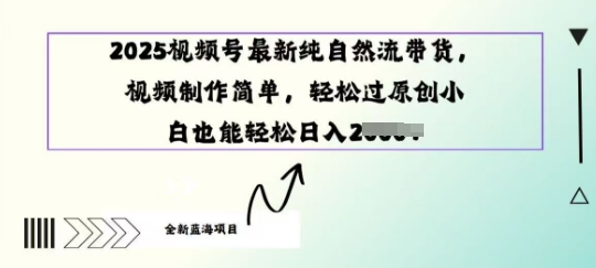 2025视频号最新纯自然流带货， 视频制作简单，轻松过原创小 白也能轻松操作网赚项目-副业赚钱-互联网创业-资源整合-私域引流-黑科技软件-引流软件哲客网创