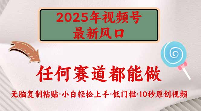 （14453期）2025年视频号新风口，低门槛只需要无脑执行网赚项目-副业赚钱-互联网创业-资源整合-私域引流-黑科技软件-引流软件哲客网创
