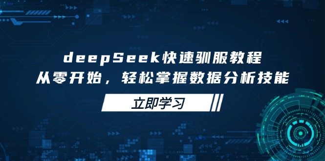 （14536期）deepSeek快速驯服教程，从零开始，轻松掌握数据分析技能网赚项目-副业赚钱-互联网创业-资源整合-私域引流-黑科技软件-引流软件哲客网创